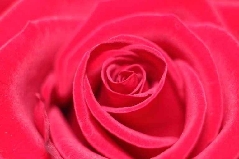 ce inseamna sarutul cu limba