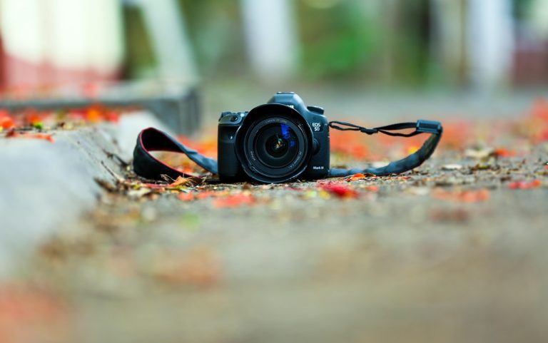 cine este eliana popa