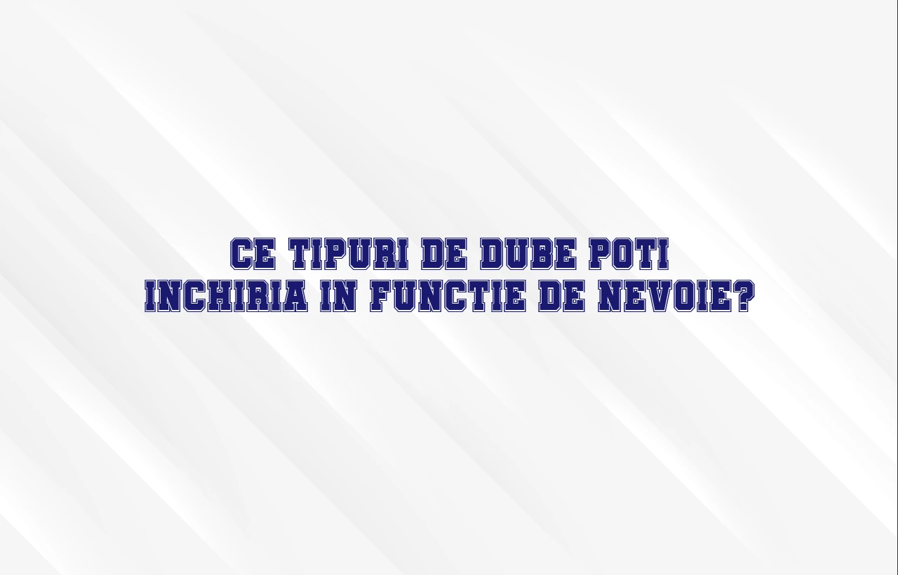 Ce tipuri de dube poti inchiria in functie de nevoie?