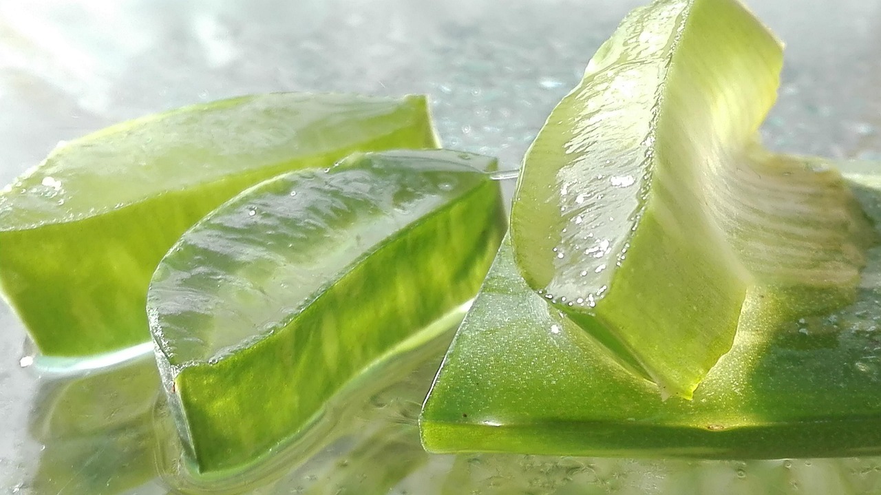masca de fata cu aloe vera pentru riduri