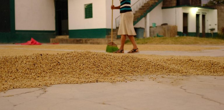 masca de fata cu cafea miere si ulei de masline