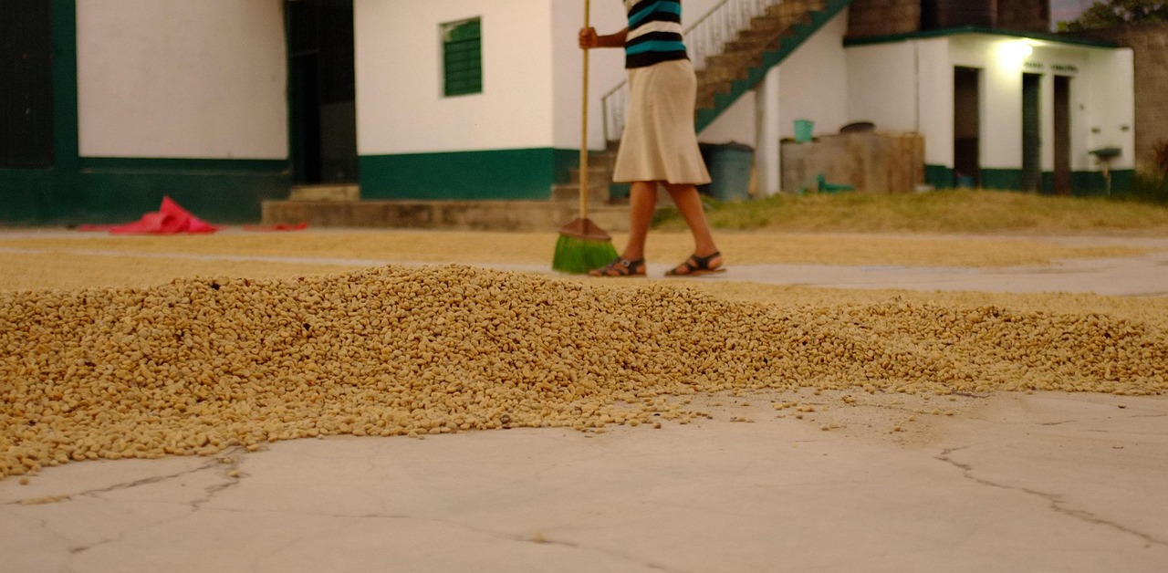 masca de fata cu cafea miere si ulei de masline